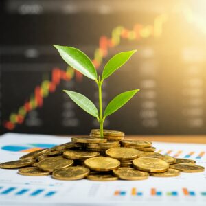 The Fun Part – How Your Investment Grows and the Returns You Can Expect